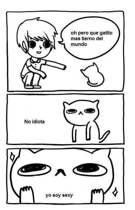 Faltan mas gatos por aquí :3