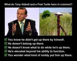 i feel sorry for the turtle&hellip;.and the whole of Australia&hellip;.