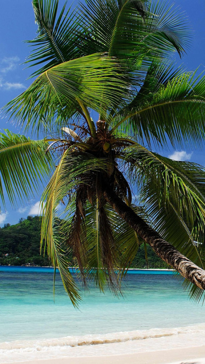 Tropical Destinations