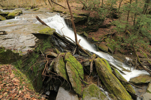 It’s been a brutal spring weekend in NC-WV: cold, freezing drizzle, alternating waves of sun and low