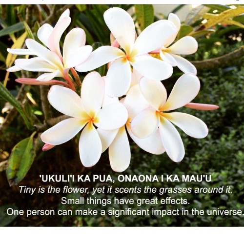 #Hawaiian Proverb #Island_Girls_Rock