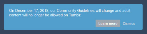 Yeah okay tumblr  🙄  I’m sure you all saw this (for what it’s worth, it’s nice that they made it so hard to miss, so it’s not going to be a surprise)Anyway, that’s the end of tumblr… i don’t know what the hell they’re thinking