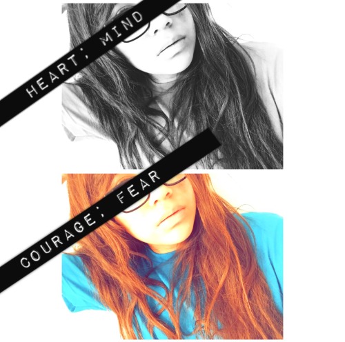 Heart; Mind; Courage; Fear