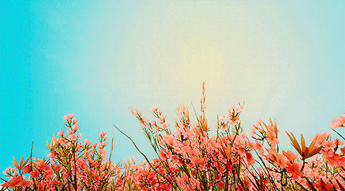 mistress-light:The witcher 3 wild hunt scenery gifs 17/∞