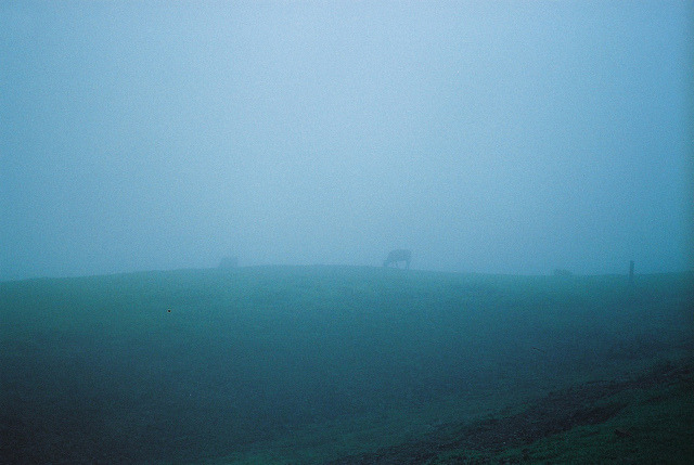 eveeverywhere:  losed:  Burton Wang  -