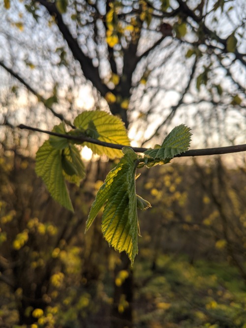 naturephotoportal