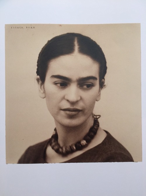 latinarebels: FRIDA