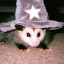 possum-bs