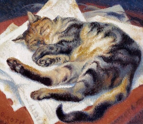 huariqueje:Dream of a Cat  -  Norbertine