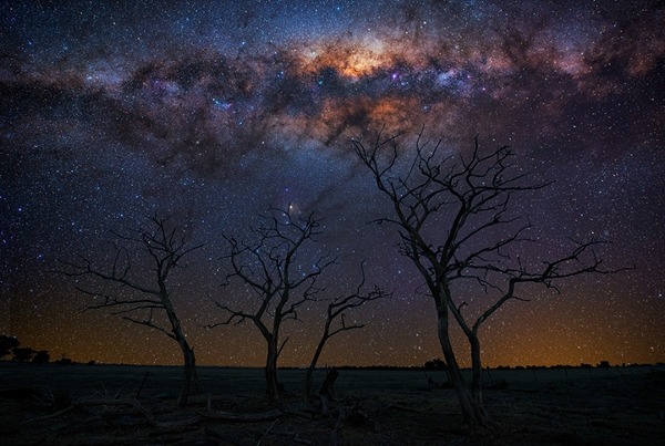 odditiesoflife:  Stars Become the Night Australian photographer Lincoln Harrison