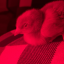 soboredrn104