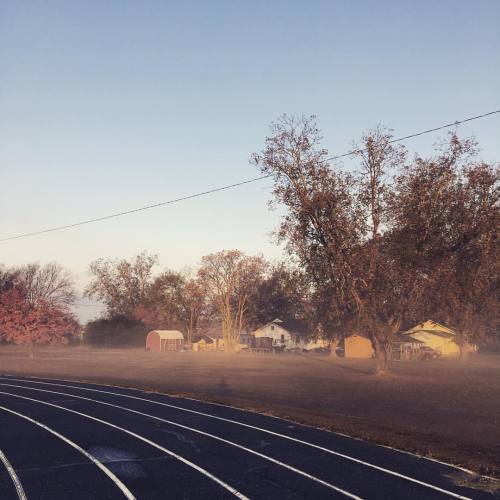 #morning #fog porn pictures