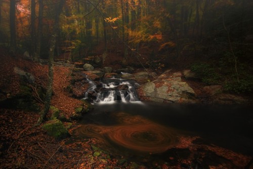 morethanphotography:  Swirl in the water by Lluisdeharo 