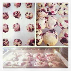 Dessert: ✔ Sugar cookies with mixed berries.