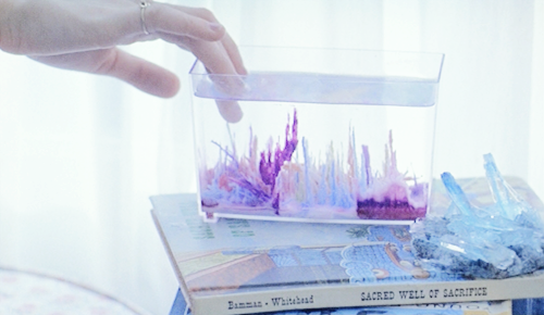 blurrymelancholy:  The Virgin Suicides (1999), Sofia Coppola 