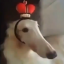 lordfoog