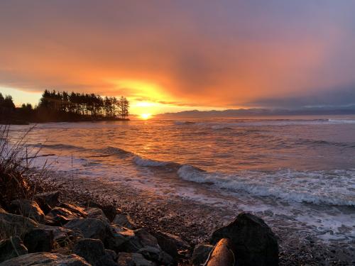 oneshotolive:  Sunrise in Jordan River on Vancouver island this morning [oc][4032x3042] 📷: notsofriendlygiant 