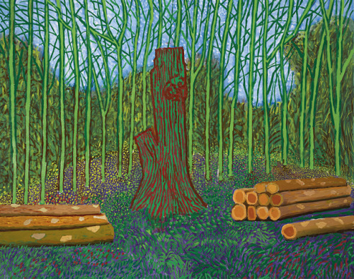 mauveflwrs - David Hockney - Arranged felled trees (2008)