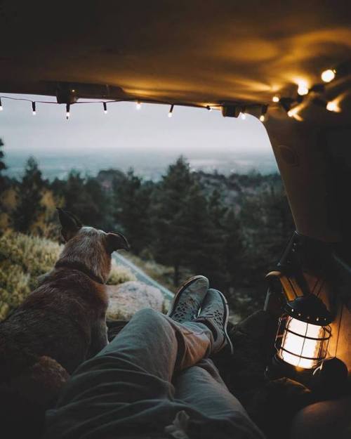 theadventurouslife4us: #camping , Little moments in life | Blue mountains | Short Stache Co.