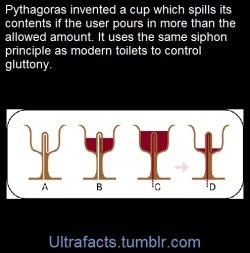 ultrafacts:    A Pythagorean cup (also known