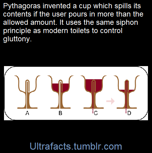 Porn photo ultrafacts:    A Pythagorean cup (also known