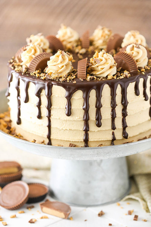 XXX foodffs:  PEANUT BUTTER CHOCOLATE LAYER CAKE photo