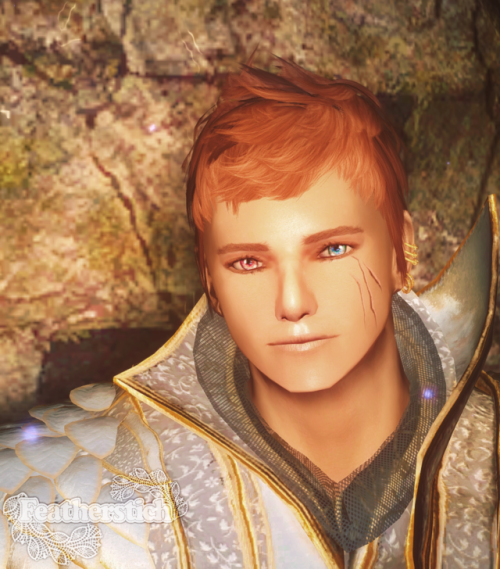 Theodor Fahrenheit Featherstich Skyrim Male FollowerFile is not changed 180706ver. (but, removed bla