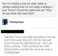 be-risque:  LOL Here ya go QC.  *giggles* now i have the fucking llama song stuck in my head