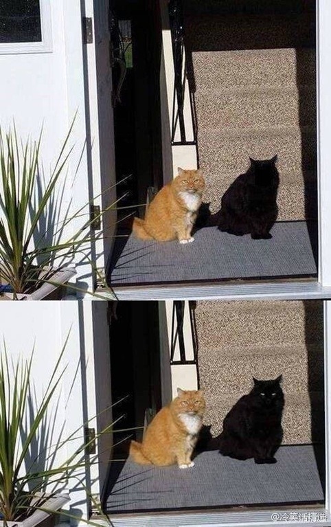 blazepress: They call him shadow.