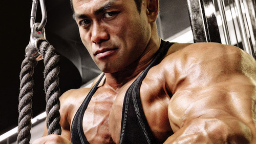   Bodybuilding steroids can be classified as having two layers or levels: firstly,