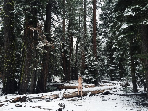 Porn photo jordanlehn:  I woke up to find my pines covered