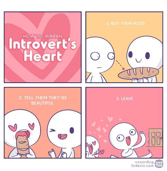 Introvert Problems
