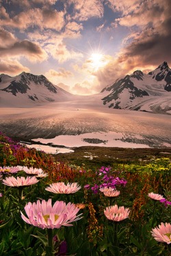 sublim-ature:  Boundary Range, AlaskaMarc