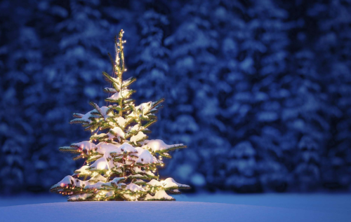 rosieandherramblings:  Merry Christmas!