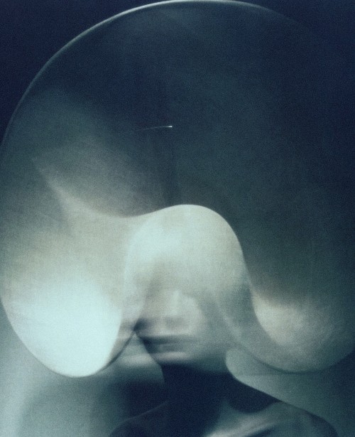 pradaphne:  Photographed by Marcus Tomlinson for Visionaire #25: Visionairy.