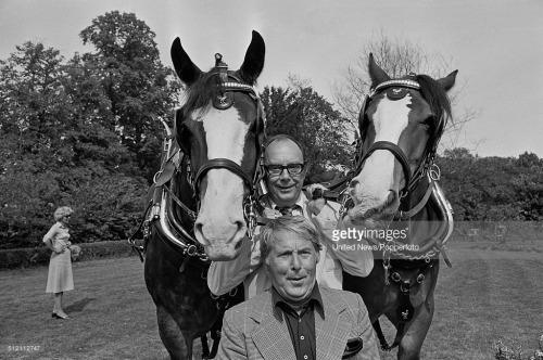 Morecambe and Wise posed together between two Courage brewery Shire horses on 5th August 1976.