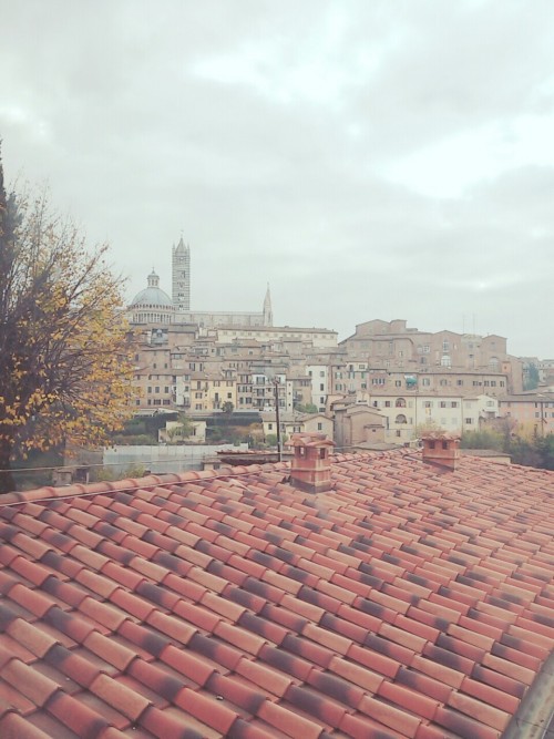 I love my school! of course, I don&rsquo;t like the anxiety before a task or query! but no one l