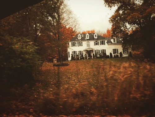 library-mermaid:  My street this week 🍁✨🍂 
