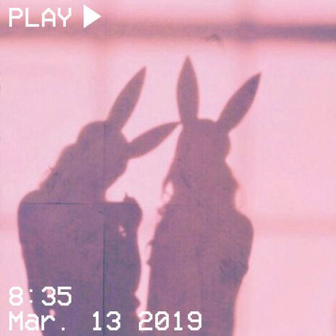 babyxcv