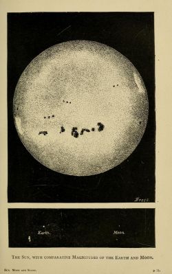 nemfrog:  The size of the Sun compared to