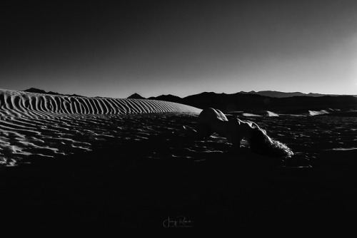 jerryseyes:Last gasp…”Date In The Dunes”with Stevie MacaroniLovely black and white shots in the dune