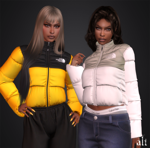 THE NORTH FACE Jacket JAN2025