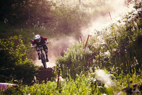 ivlexey:  Andrey Bakhvalov riding Ural trails