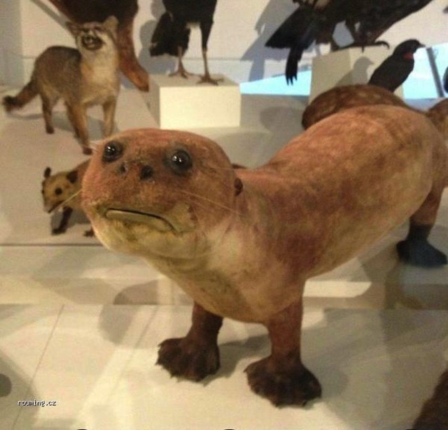 fireflufferz:  i have queued this post for December 31st at 11:59 PM. this is truly