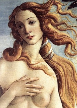 blackwulf23:  fruitintern:  The Birth of Venus // Nude  Artistic and lovely 