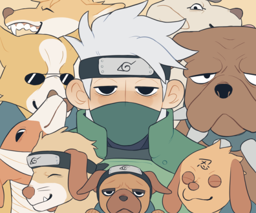 dalimash: just a man and his dogs