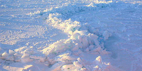 Sea ice formation.When seawater begins to freeze, it forms tiny crystals onlymillimetres wide called