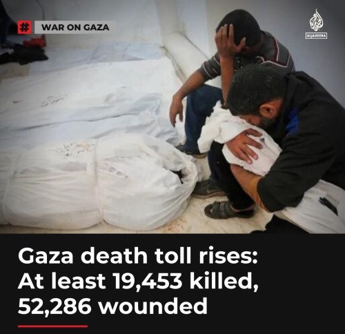 Palestine Updates