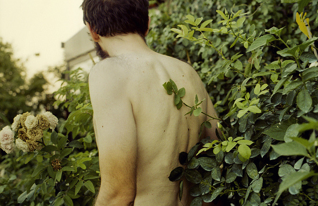 broux:  summer leaves by Al[ice in wonderland] on Flickr.