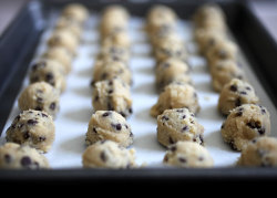 im-horngry:  Cookie Dough - As Requested!